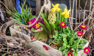 Basket with flowers in spring as a decoration
